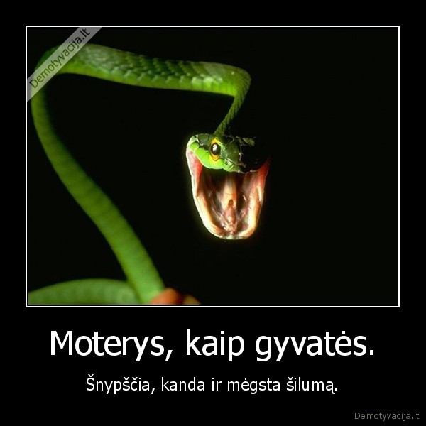 gyvates,moterys