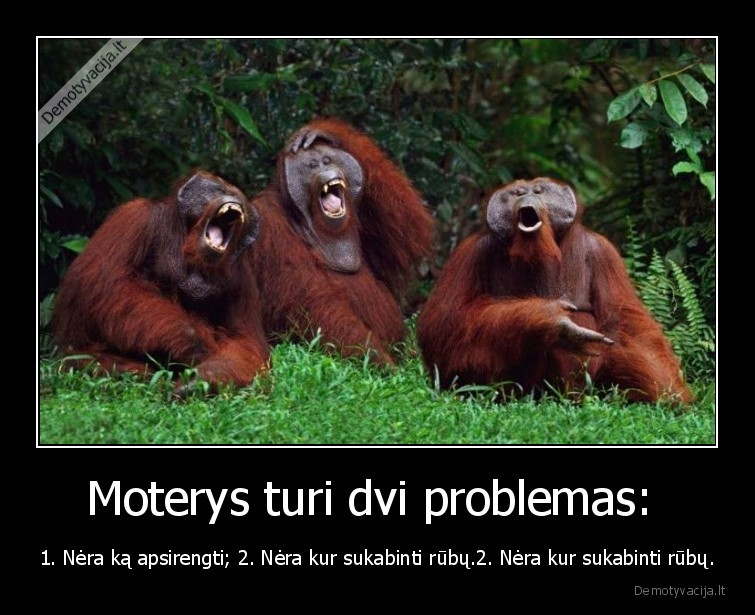 bezdziones,problemos,moterys,anekdotas