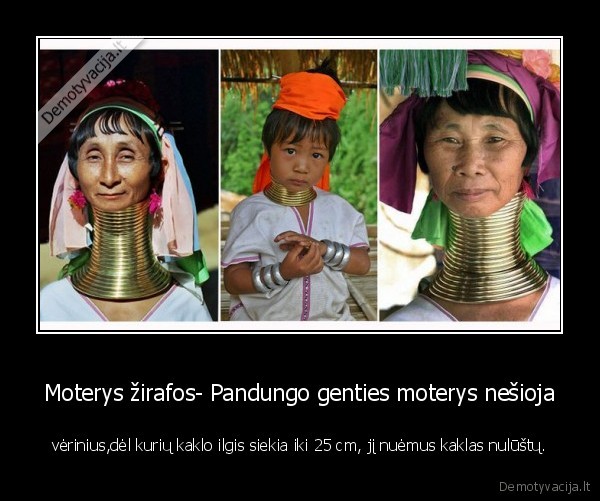 Moterys žirafos- Pandungo genties moterys nešioja