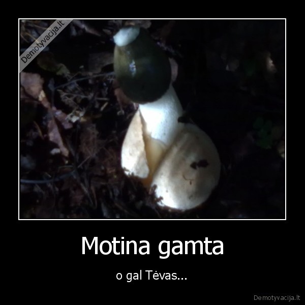 grybas,motina,tevas,gamta