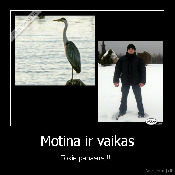 sliuzas,daunas,storas,liarwa, 