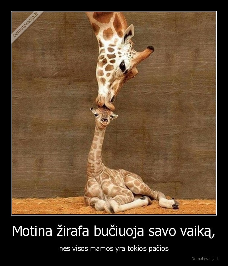aszirafa,mama,buciuoja,vaika