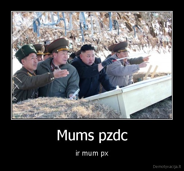 siaures,korejai,pzdc