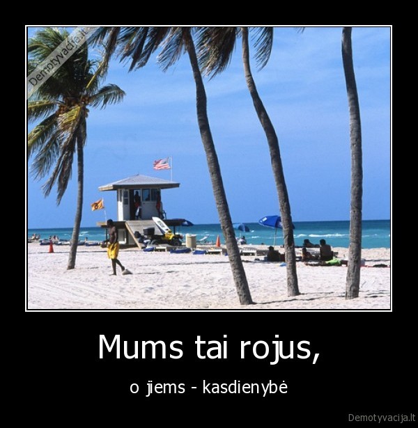 Mums tai rojus,
