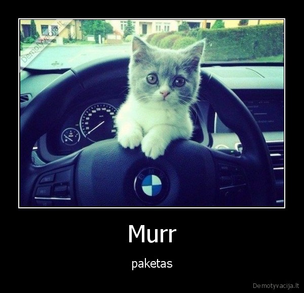 bmw,mur