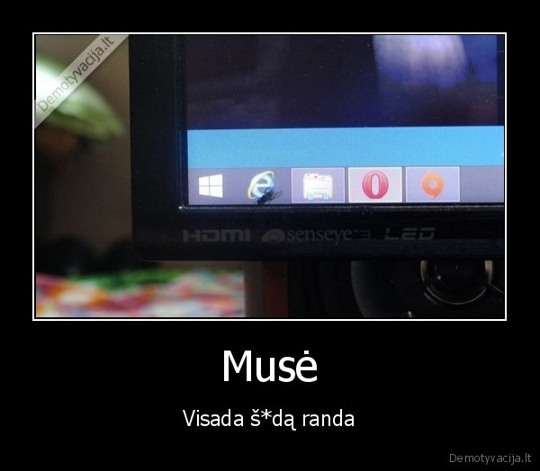 internet, explorer,muse, ant, ekrano