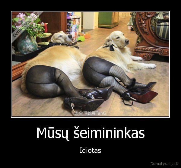 Mūsų šeimininkas