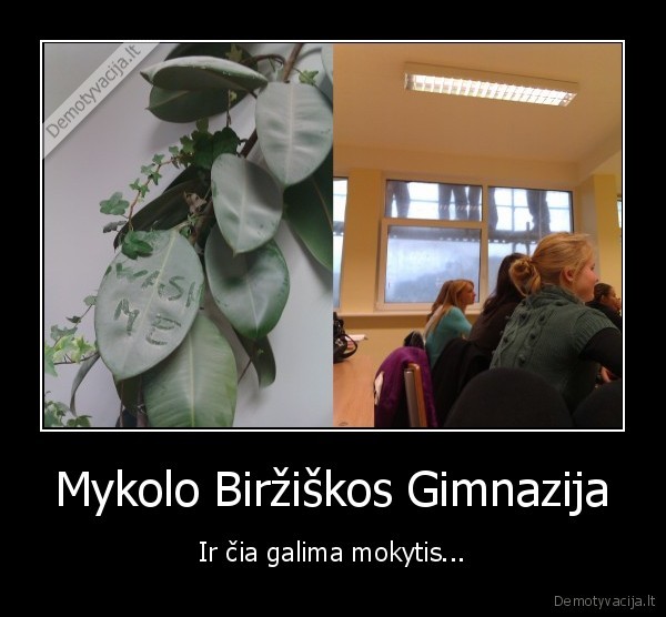 mokykla,mykolo, birziskos, gimnazija,svietimas,mokymas