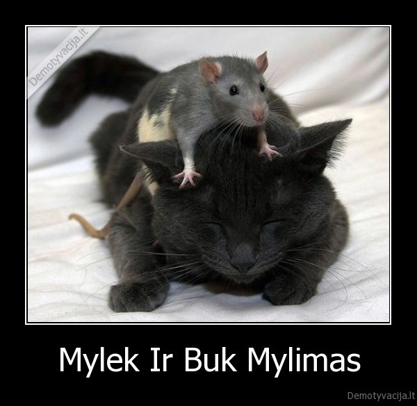 Mylek Ir Buk Mylimas