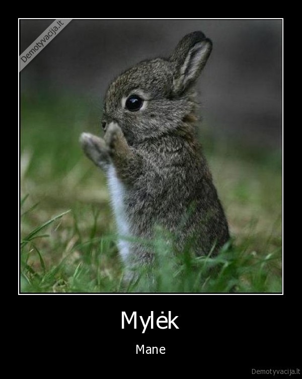 Mylėk