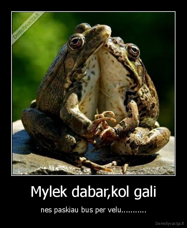 Mylek dabar,kol gali