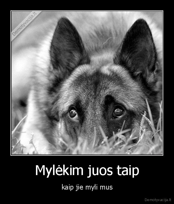 Mylėkim juos taip