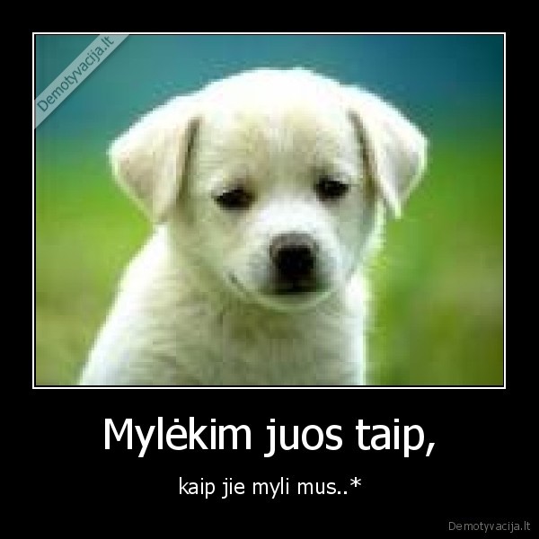 suniukas, mazas