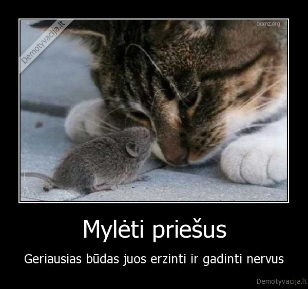 priesas,meile,priesai