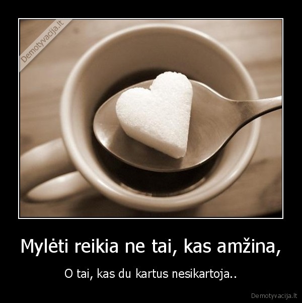 Mylėti reikia ne tai, kas amžina,