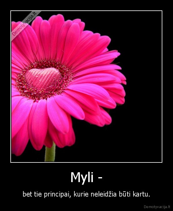 Myli -