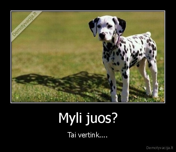 Myli juos?