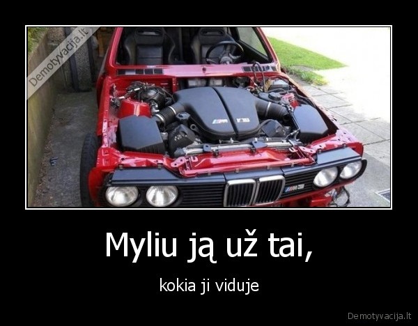 myleti,masina,vidus