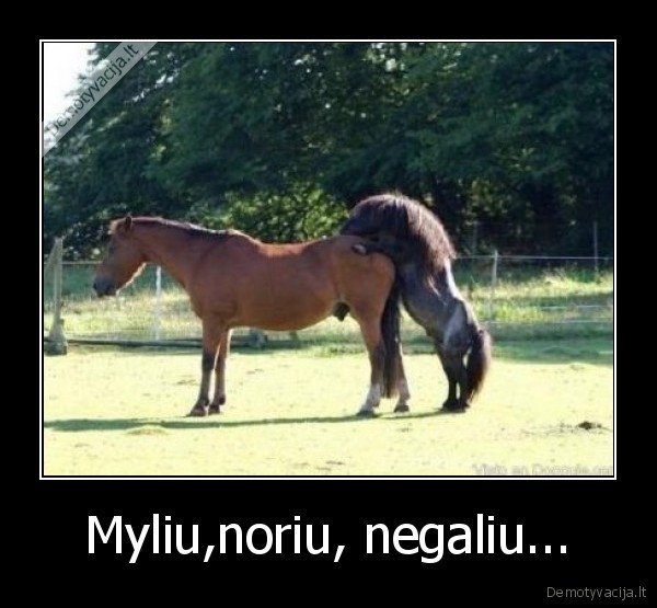 myliu