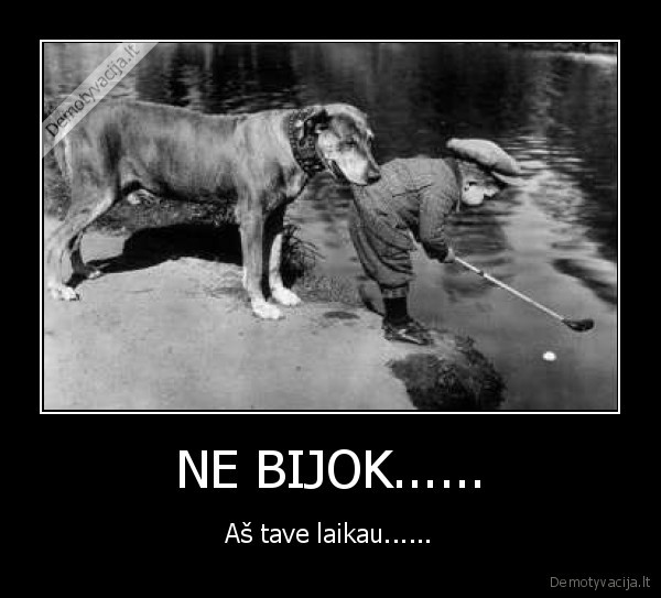 NE BIJOK......
