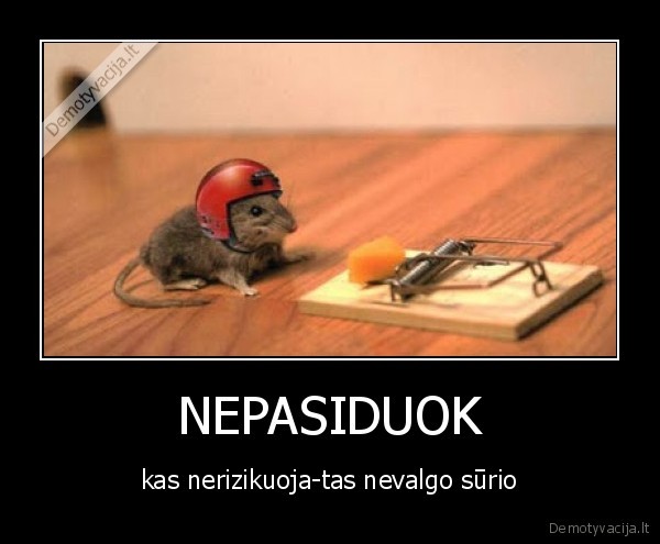 rizika