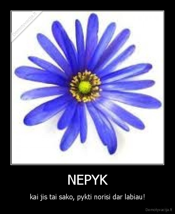 NEPYK