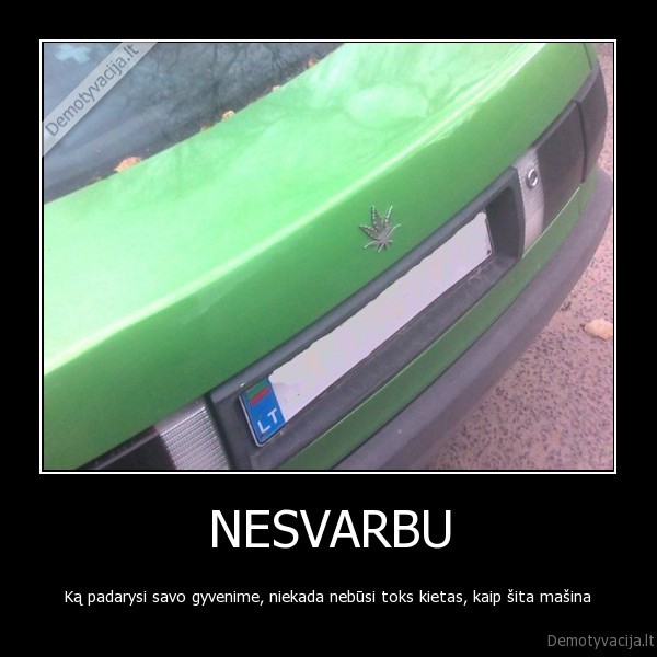 audi,cannabis,kanapes,zole,masina,automobilis,kietas,prikolas