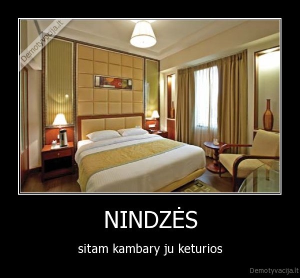 NINDZĖS