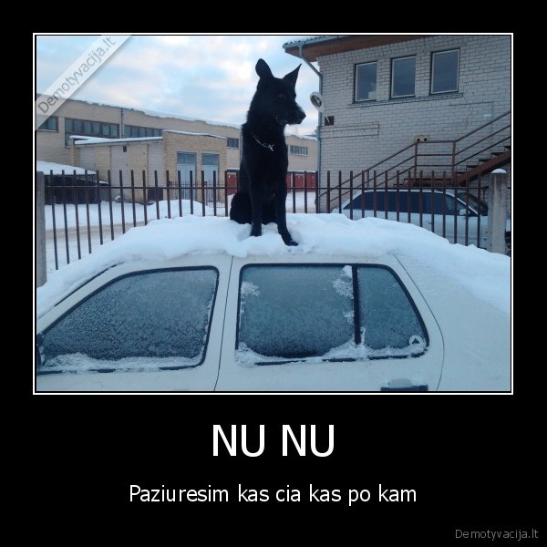 NU NU