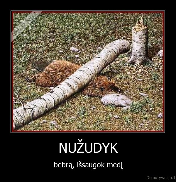 NUŽUDYK