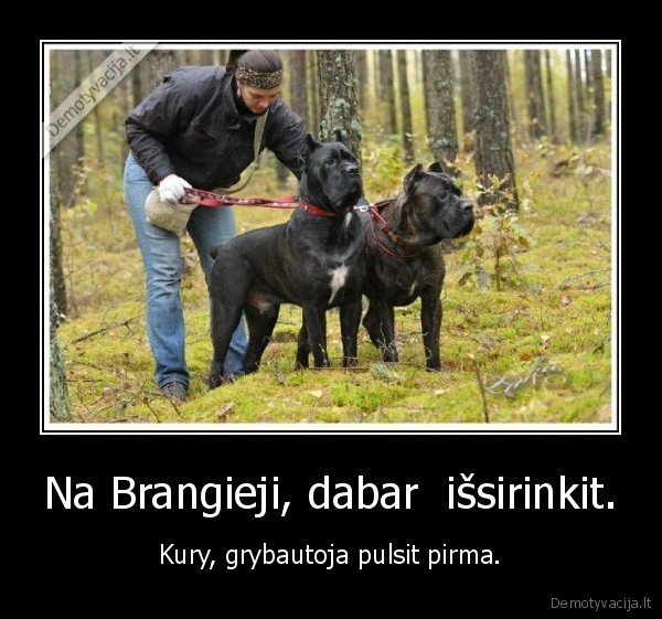 Na Brangieji, dabar  išsirinkit.