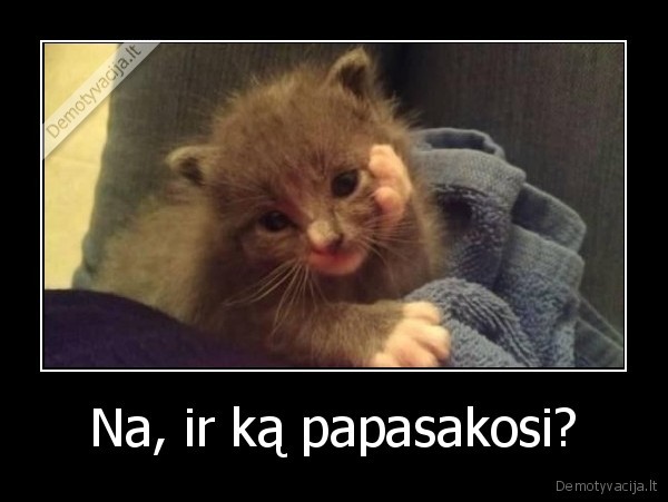 Na, ir ką papasakosi?