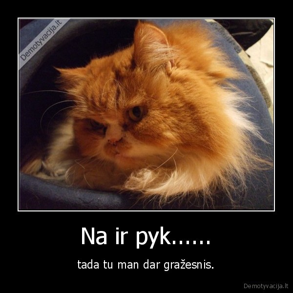 Na ir pyk......