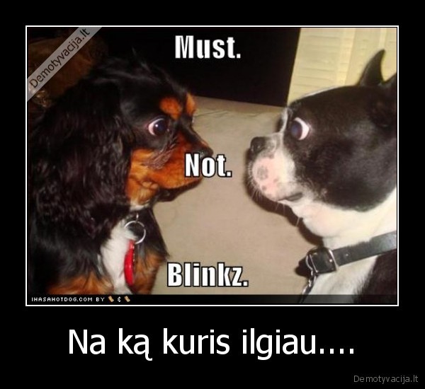 Na ką kuris ilgiau....