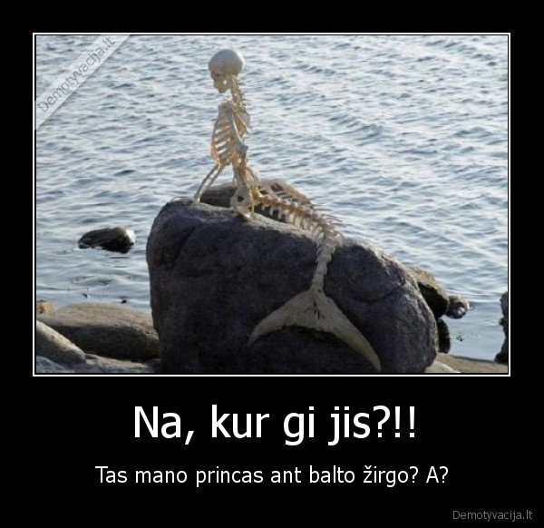 meile,princas,laukti