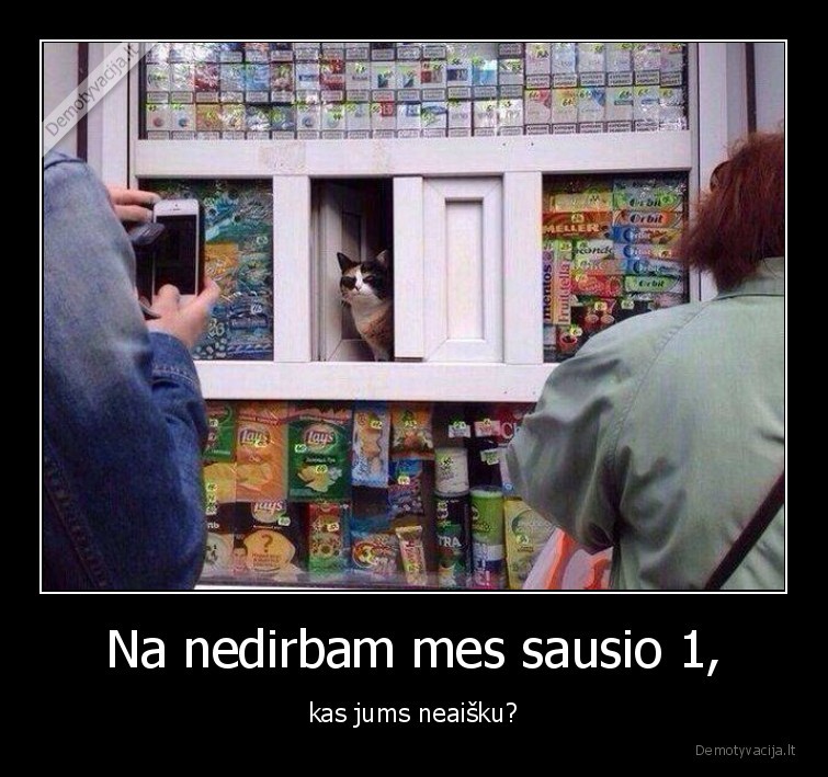 katinas,kioskas,nedirba