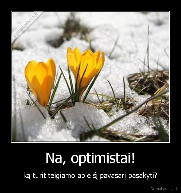 pavasaris