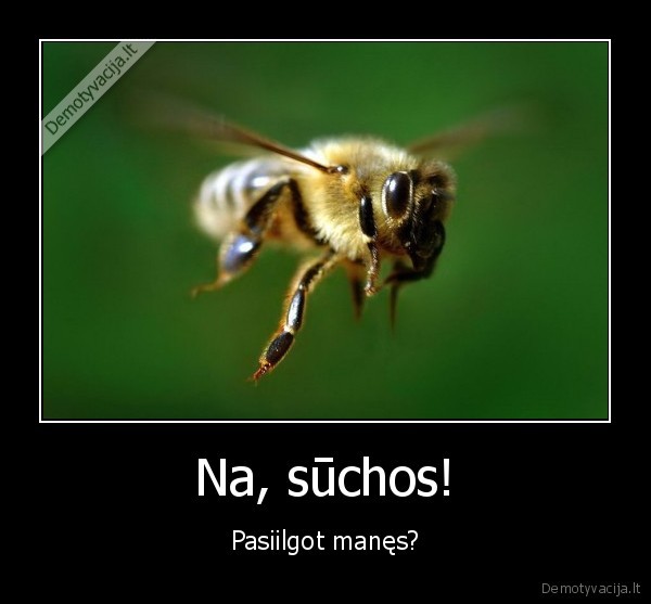 biciu, ikandimai,vabzdziai, puola,baimes, akys