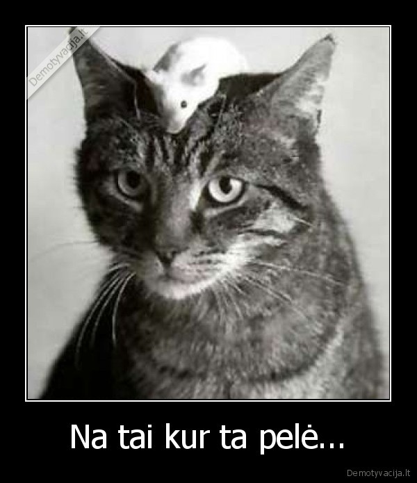 Na tai kur ta pelė...