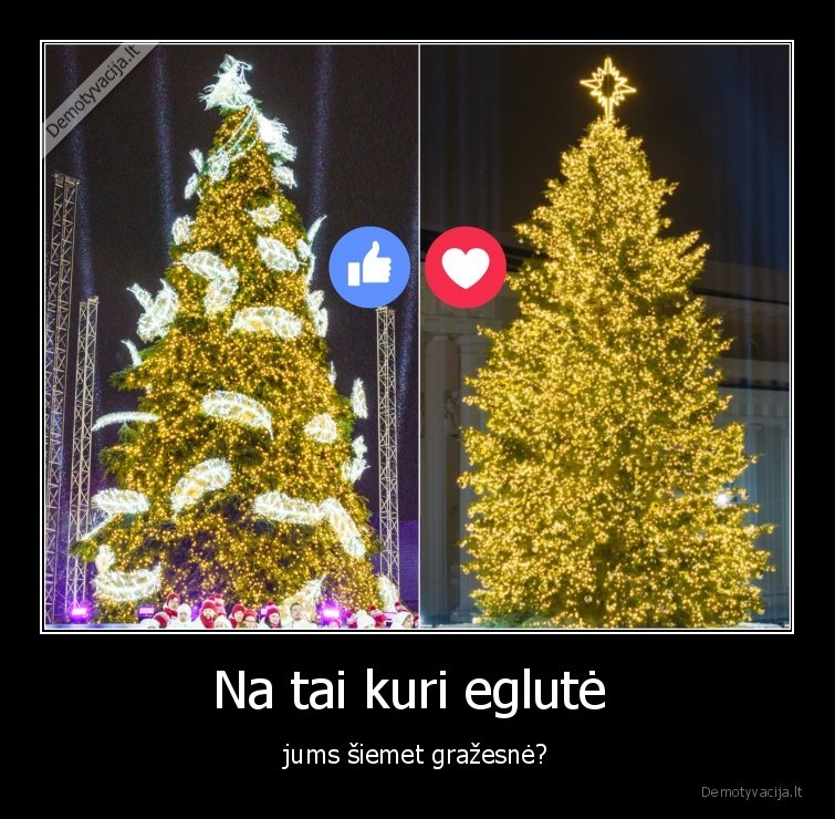 egle,vilniaus, egle,sostines, egle,vilnius,kaunas,kauno, egle