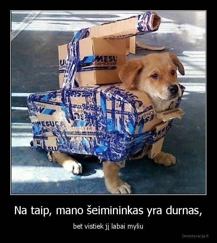 suo,myli,seimininkas