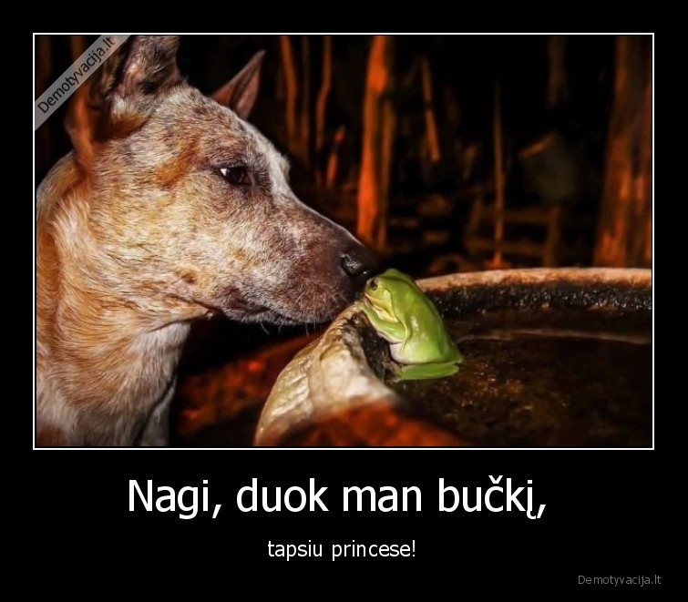 suo,varle,buckis