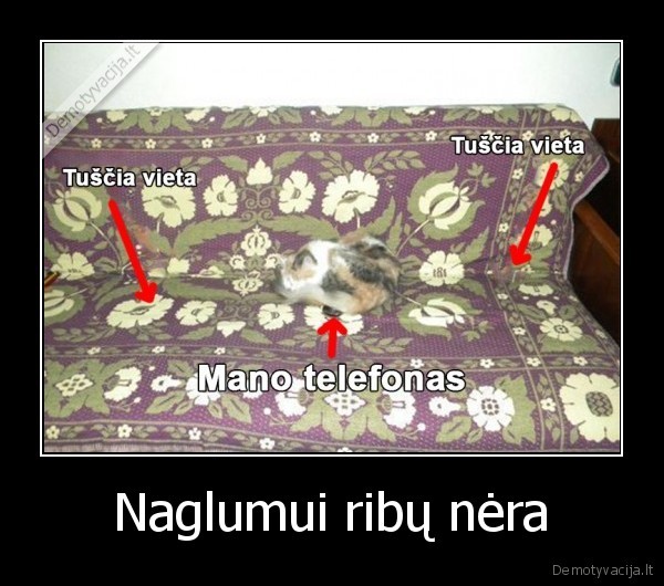 katinas,naglumas,naglas,telefonas,uzgulti
