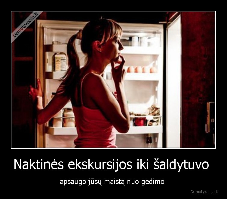 maistas,saldytuvas,naktine,ekskursija