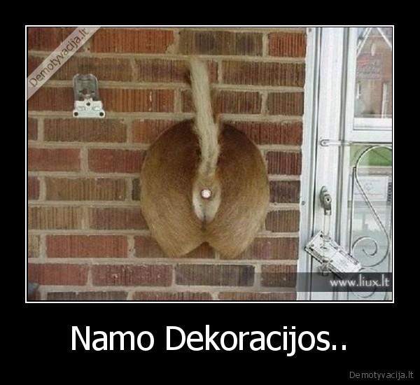 Namo Dekoracijos..