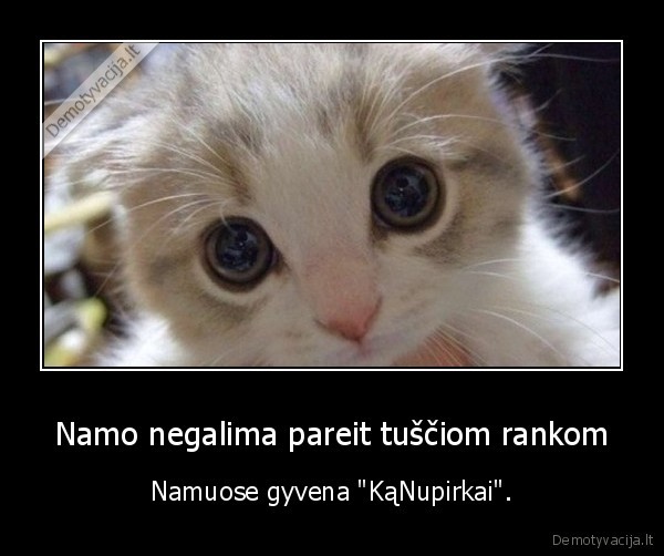 ka, nupirkai,gyvena,nupirkti,skanestai,laukia