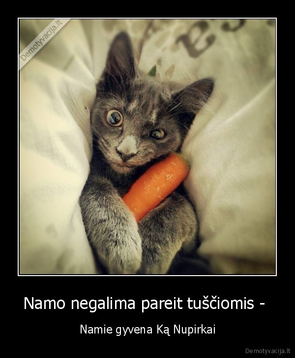 Namo negalima pareit tuščiomis - 