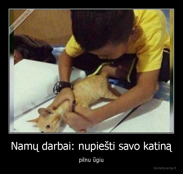 katinas,namu,darbai,vaikas