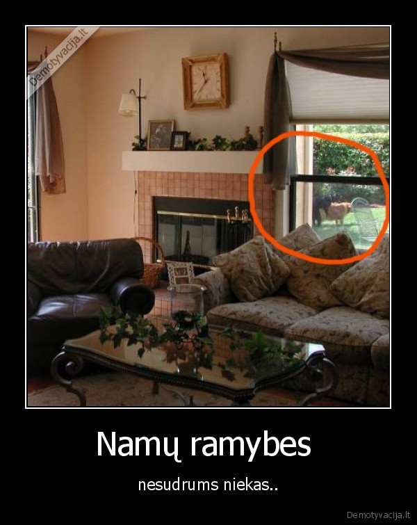 du, suniukai, xd