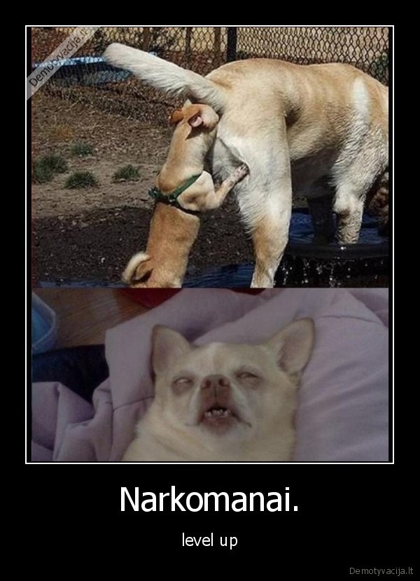 Narkomanai.